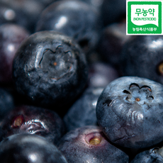 [2주특가/산지직송] 강원도 화천 국내산 프리미엄 무농약블루베리 냉동블루베리 대, 1개, 1kg