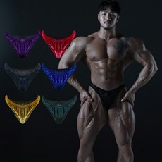 카미드 보디빌딩 경기복 트렁크 팬티 6종