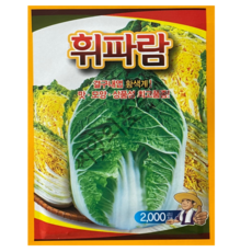 휘파람 배추씨앗 2000립 결구내엽 국내채종 상품성 김장배추 햇종자 사카타코리아, 1개