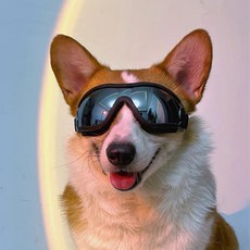 반려동물 야외 헬멧 방풍 투명 강아지 고양이 오토바이 라이딩 안전 보호 모자, 1개, M 선글라스 보호 안경