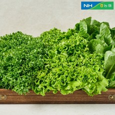 [동김제농협] 유러피안샐러드 6종 3-4종 랜덤 750g 대용량 야채믹스 채소믹스, 없음, 1개