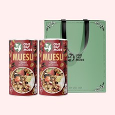 [원데이모어] 뮤즐리 2개 세트 선물 그래놀라 오트밀 선물세트 쇼핑백포함, 쿠키뮤즐리, 450g