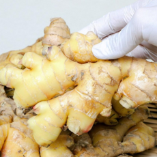 국내산 100% 특품 세척생강, 1박스, 1kg(특)
