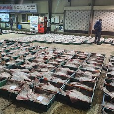 자연순수 국내산 참홍어 (약한숙성) 2-3인분 신선한 바다향 가득, 2개, 500g