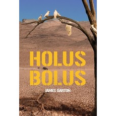 (영문도서) Holus Bolus Paperback, Moshpit Publishing, English, 9781922912046