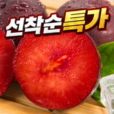 [100박스선착순특가] 속빨간 국내산 제철 피자두, 1박스, 1kg(소)