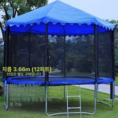 대형 트램폴린 야외 점핑 방방 실외 원형 캠핑장, 보호망 사다리 포함 12ft 3 66m 상업용