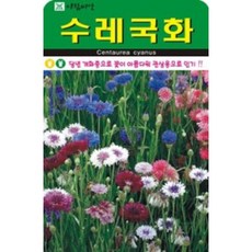AR 수레국화 대포장 씨앗 1리터, 1개