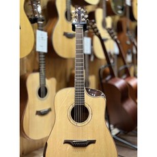 Gomans D-S12AC 全單板木吉他, 1個