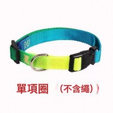 DFMEI 狗狗牽引繩泰迪狗遛狗繩子貓咪七彩項圈揹帶小型寵物鏈子用品, 1個, 七彩單項圈