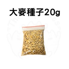 【12HR台灣出貨】貓草種植組，大麥草小麥草貓草盆栽，土耕貓薄荷，幫助貓咪消化，安全無添加, 1個, 【單購】大麥種子20g