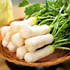 굿파머 세척알타리 초롱무 10kg, 1개