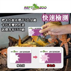 REPTI ZOO UVB紫外線測試卡 - 快速檢測爬蟲UVB指數, 1個
