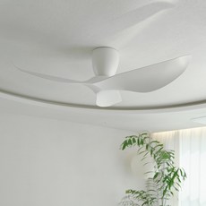에어카이브 노바 실링팬 거실 132CM 천장형 저소음 BLDC, 화이트