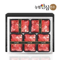 [농협안심한우] 1+등급 한우 불고기 선물세트 3호 3.0kg, 1개