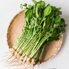아삭한 줄기 부드러운 잎 신선한 열무 국내산 제철 열무, 1박스, 1단 (2kg 내외)