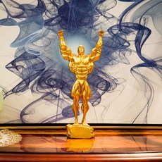 보디빌더 상패 트로피 각인 레터링 대회 우승 기념품 피지컬 시상식, D. 헤라클레스 황금, 1개
