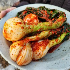 [어사김치] 국내산 전라도 무안 햇 양파줄기김치, 1개, 3kg