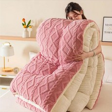 극세사 겨울 양면 두꺼운 양털 이불 부드러운 양모 캐시미어-핑크 150x200cm3kg, 블루