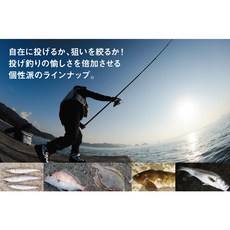 DAIWA PRIME SURF T 33-405-W 遠投竿 磯釣竿, 33號-425