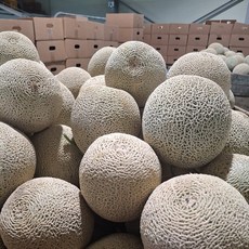 머스크멜론 5수 (6.5kg 이상), AI_01 머스크멜론 5수 (6.5kg 이상)