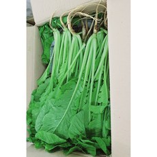 국내산 전라도 열무 (8kg)얼갈이(8kg) 열무+얼갈이(8kg) 알뜰농장, 1개, 열무(8kg) 국내산