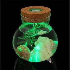 차곡담디자인 마리모 키우기 LED 코르크 유리병10x11cm 반려견리드줄