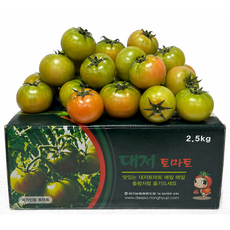[일50박스] 한정특가 초고당도 짭짤이 대저토마토, 1박스, 2.5kg(L~2L)