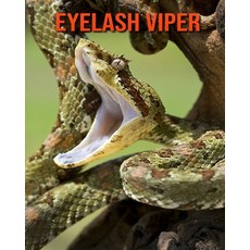 Eyelash Viper: Fun Facts & Cool Pictures Paperback, Independently Published, English, 9798564357005