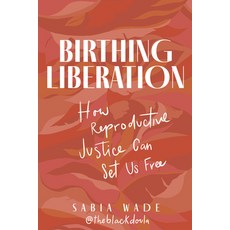 (영문도서) Birthing Liberation: How Reproductive Justice Can Set Us Free Hardcover, Chicago Review Press, English, 9781641607964