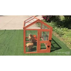 實木雞籠子跑籠：鴨籠、鴿子籠、兔籠，網框結構，室內外貓狗籠，防腐寵物籠，多功能雞舍窩房, 1個, B款平頂跑籠,L-大型