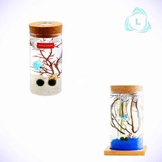 리버썸 마리모 키우기 LED 유리병 식물관리 사무실식물