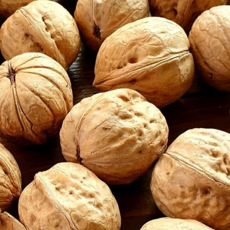 국산호두 25년 9월 생산 얇은 껍질 특품 1kg 덤100g, 1개