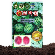 KS종묘 꼬마꿀 애플수박 씨앗 10립 꼬마꿀 미니 애플 수박씨 종자, 1개