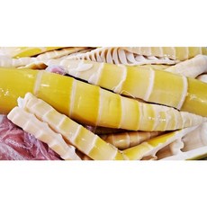 한번 삶은 담양 햇죽순 750g 1.5kg, 1개