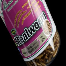 윌리마켓 소동물 밀웜 도마뱀용품, 15g