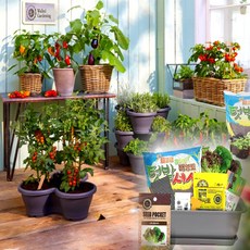 월드가드닝 베란다 채소키우기 텃밭세트 9종 커피컬러, 야생화-안개초