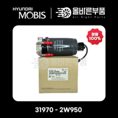 [현대모비스순정] 디젤 연료필터 31970-2W950, 1개, 319702W950