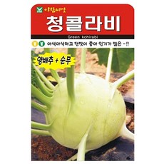 청콜라비 씨앗 그린 콜라비 씨 종자