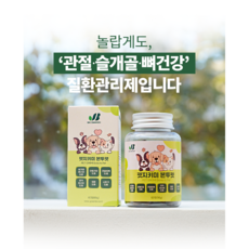 강아지가 더 좋아하는 펫지키미 강아지관절영양제 강아지슬개골영양제 반려동물뼈건강근육건강 고양이영양제, 1개, 뼈/관절강화, 강아지관절슬개골영양제 반려동물뼈건강근육건강 고양이영양제