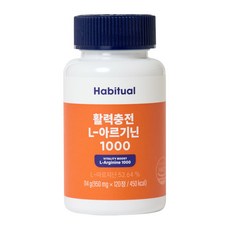 와이즐리 활력충전 아르기닌 L-1000(60일분), 1개, 120정