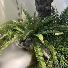 사비오코 조경 조화장식 플랜트월 봄꽃화분 식물, 60cm 3단 클로버 그린, 1개, 기본 색상