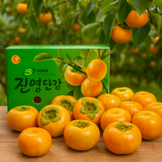 타임특가 당일발송 고당도 진영단감 햇단감, 로얄과10kg, 1개