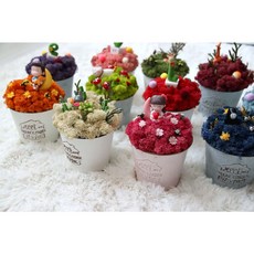 [이브닝메종] 스칸디아모스 깡통화분, 가오요정, 시클라멘