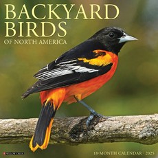 (영문도서)Backyard Birds 2026 12 X 12 Wall Calendar Spiral, Willow Creek Press Calendars, English, 9781549250026