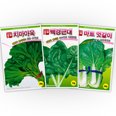 [주주씨앗] 국거리채소 씨앗 3봉세트 / 아욱 근대 엇갈이 맛좋은 잎채소 종자, 1개