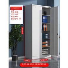 문서 캐비닛 철제 대형 회사 정리함 교무실 파일 서류 수납장 보관함 사무용 수납, 1.33mm, 증명서 보관함 5칸
