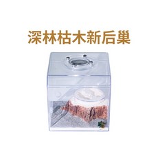 螞蟻帝國深林枯木新后巢，單/雙房可選，仿真蟻窩，附新版上蓋，生態觀察更方便, 1個