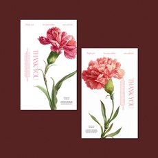 어버이날 스승의날 카네이션 카드 엽서 선물 포장 리얼, 60개, 리얼 세로 피치