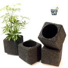 냄새먹는 참숯화분11, 1개